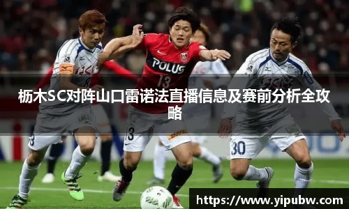 bsports官网入口