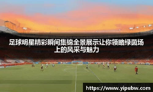 bsports官网入口