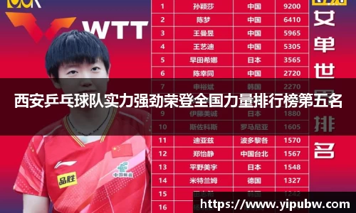 bsports官网入口